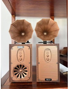 Bluetooth радио колонка...